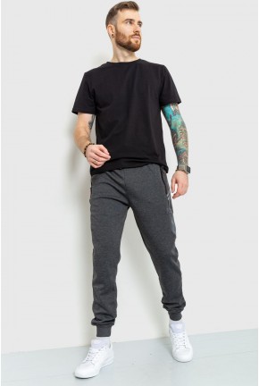 Спорт штани чоловічі демісезонні, колір грифельний, 184R9616
