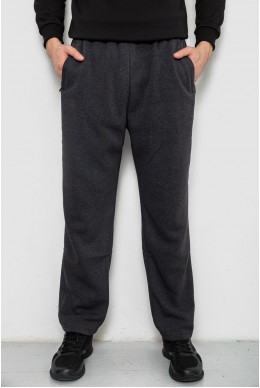 Спортивные штаны мужские на флисе, цвет серый, 244R41715