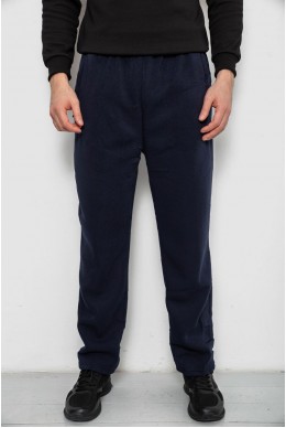 Спортивні штани чоловічі на флісі, колір синій, 244R41715