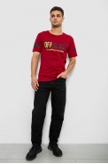 Футболка мужская с принтом, цвет бордовый, 244R1015 - фото № 1