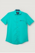 Мужская рубашка однотонная, цвет зеленый, 186R7008 - фото № 0