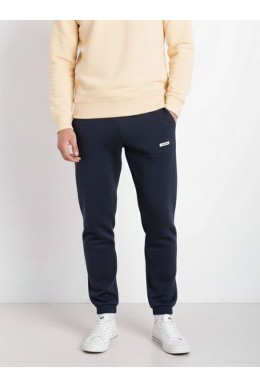 Спортивні штани чоловічі на флісі, колір синій, 129RA9998