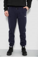 Спортивні штани чоловічі на флісі, колір синій, 129RA9998 - фото № 0