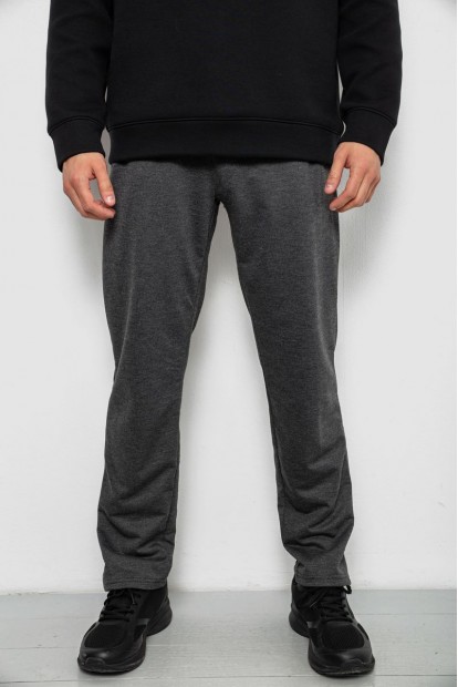 Спортивні штани чоловічі однотонні, колір сірий, 244RY-406