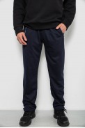 Спортивні штани чоловічі однотонні, колір синій, 244RY-406 - фото № 0