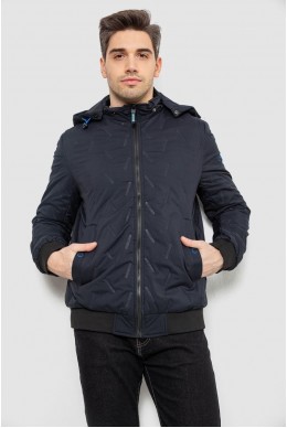 Куртка чоловіча демісезонна з капюшоном, колір синій, 244RL-9882AL