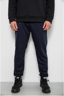 Спортивні штани чоловічі однотонні, колір синій, 244R41736