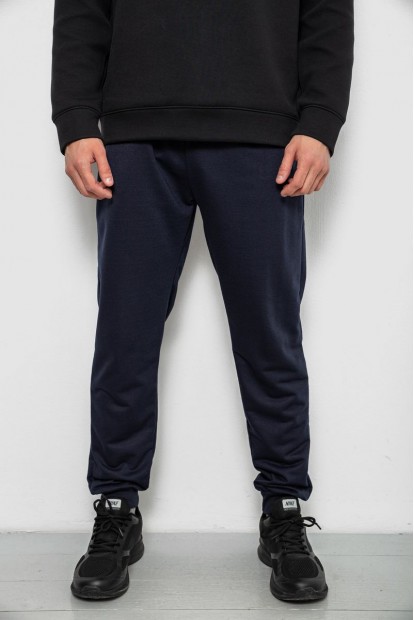 Спортивні штани чоловічі однотонні, колір синій, 244R41736