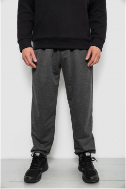 Спортивні штани чоловічі однотонні, колір сірий, 244RY-428