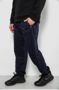 Спортивні штани чоловічі однотонні, колір синій, 244RY-428 - фото № 2