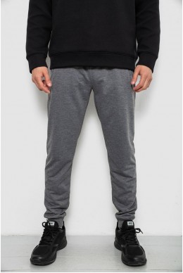 Спортивные штаны мужские однотонные, цвет светло-серый, 244R41608