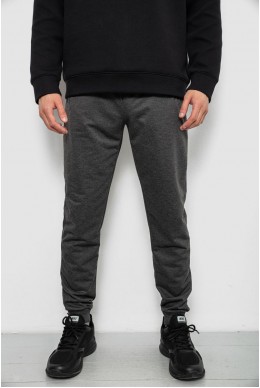 Спортивные штаны мужские однотонные, цвет серый, 244R41608