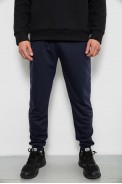 Спортивні штани чоловічі однотонні, колір синій, 244R41608 - фото № 0