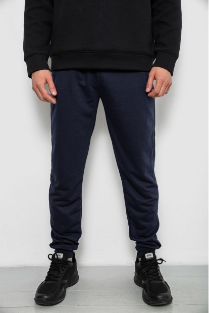 Спортивные штаны мужские однотонные, цвет синий, 244R41608