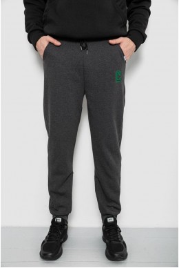 Спортивные штаны мужские на флисе, цвет грифельный, 129RA9995