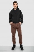 Спортивные штаны мужские на флисе, цвет коричневый, 129RA9995 - фото № 1