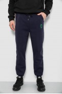 Спортивні штани чоловічі на флісі, колір синій, 129RA9995 - фото № 0