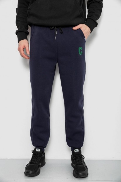 Спортивные штаны мужские на флисе, цвет синий, 129RA9995