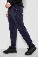 Спортивні штани чоловічі на флісі, колір синій, 129RA9995 - фото № 2