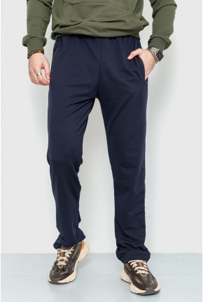 Спорт штани чоловічі демісезонні, колір темно-синій, 226R051