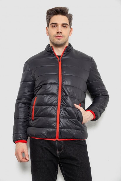 Куртка мужская демисезонная 244RL616, цвет Черный