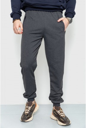 Спорт штаны мужские демисезонные, цвет грифельный, 226R050