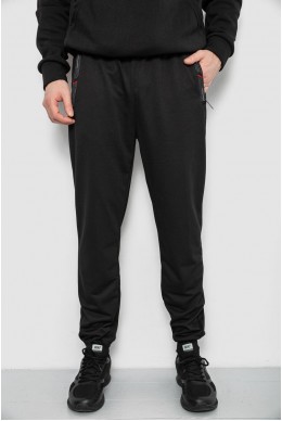 Спортивные штаны мужские, цвет черный, 244R429