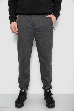 Спортивные штаны мужские, цвет серый, 244R429