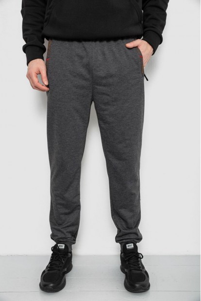 Спортивные штаны мужские, цвет серый, 244R429