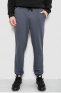 Спортивні штани чоловічі двонитка, колір сірий, 241R8003 - фото № 0