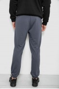 Спортивні штани чоловічі двонитка, колір сірий, 241R8003 - фото № 3