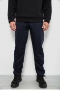 Спортивні штани чоловічі однотонні, колір синій, 244RY-440 - фото № 0