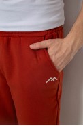 Спортивні штани чоловічі на флісі, колір теракотовий, 238R57256 - фото № 4