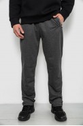 Спортивные штаны мужские однотонные, цвет серый, 244RY-400 оптом - фото № 0