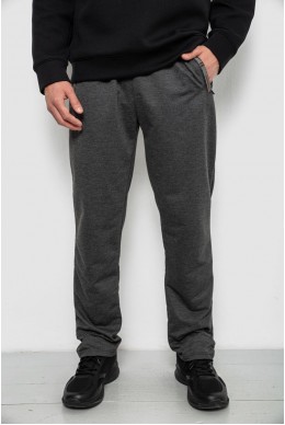 Спортивные штаны мужские однотонные, цвет серый, 244RY-400