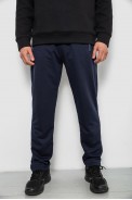 Спортивні штани чоловічі однотонні, колір синій, 244RY-400 - фото № 0