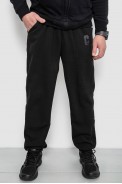 Спортивні штани чоловічі на флісі, колір чорний, 129RA9995-1 - фото № 0