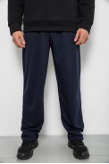 Спорт штаны мужские, цвет синий, 244R41392 - фото № 0