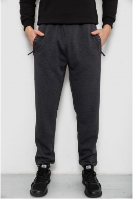 Спортивні штани чоловічі на флісі, колір сірий, 244R41748