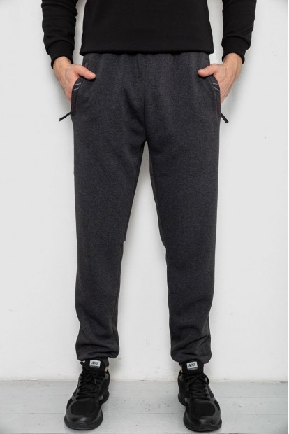 Спортивні штани чоловічі на флісі, колір сірий, 244R41748