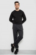 Спортивные штаны мужские на флисе, цвет серый, 244R41748 - фото № 1