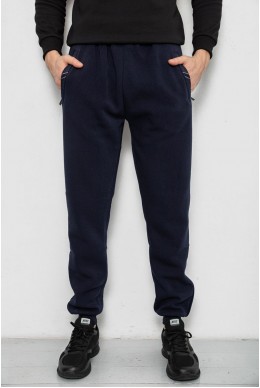Спортивные штаны мужские на флисе, цвет синий, 244R41748