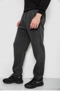 Спортивные штаны мужские на флисе, цвет серый, 244R41597 - фото № 2