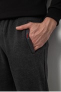 Спортивные штаны мужские на флисе, цвет серый, 244R41597 - фото № 4