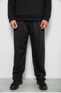 Спортивные штаны мужские однотонные, цвет черный, 244R41272 - фото № 0