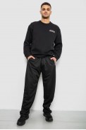 Спортивные штаны мужские однотонные, цвет черный, 244R41272 - фото № 1