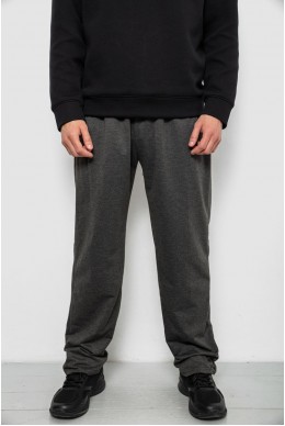 Спортивные штаны мужские однотонные, цвет серый, 244R41272