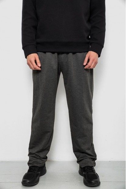 Спортивные штаны мужские однотонные, цвет серый, 244R41272