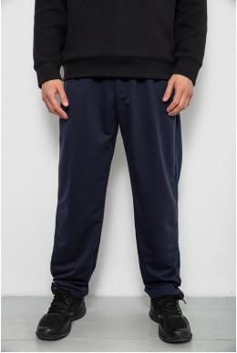 Спортивные штаны мужские однотонные, цвет синий, 244R41272