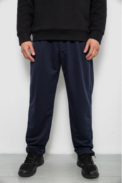 Спортивные штаны мужские однотонные, цвет синий, 244R41272